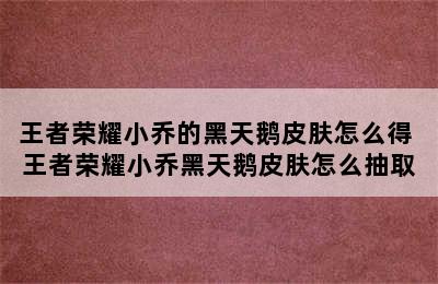 王者荣耀小乔的黑天鹅皮肤怎么得 王者荣耀小乔黑天鹅皮肤怎么抽取